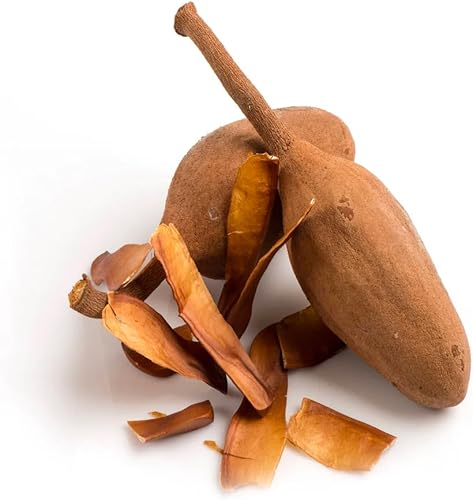 Miniatura 214 de VINEVIDA [4 onzas] Aceite de fragancia de madera de teca de caoba para fabricación de velas y fabricación de jabón, aromas de velas prémium para