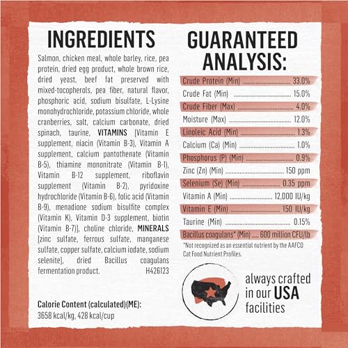 Image of Purina Beyond Natural Wholesome Ingredients for Whole Health Dry Cat Food Salmon and Whole Brown Rice Recipe - 6 lb. Bag (Pack of 2)