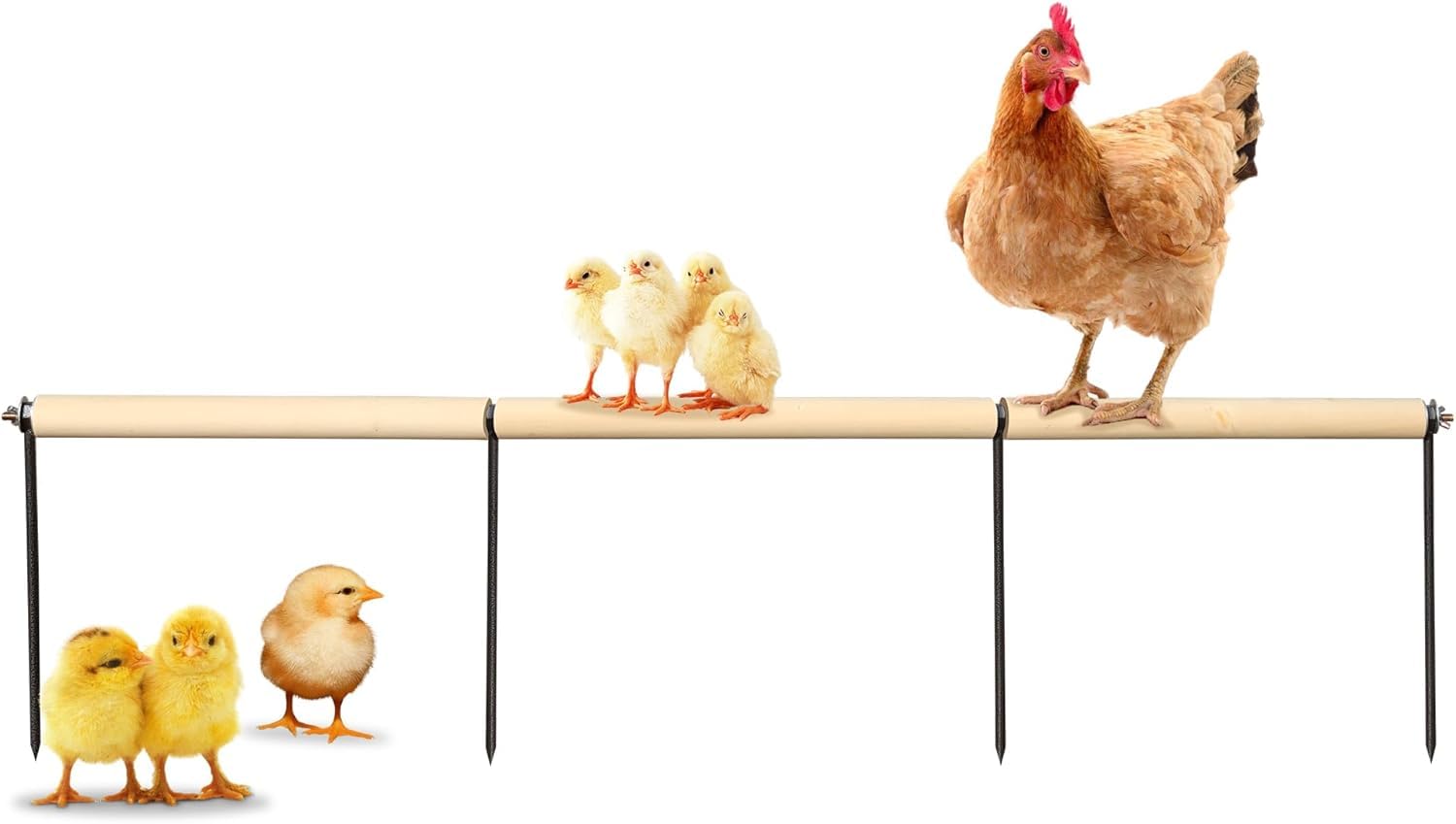 Extra Long Chicken Perch Toys, Wooden Chick Perch Stand with Metal Ground Plug, Outdoor Birds Training Platform, Chicken Coop Accessories, Suitable