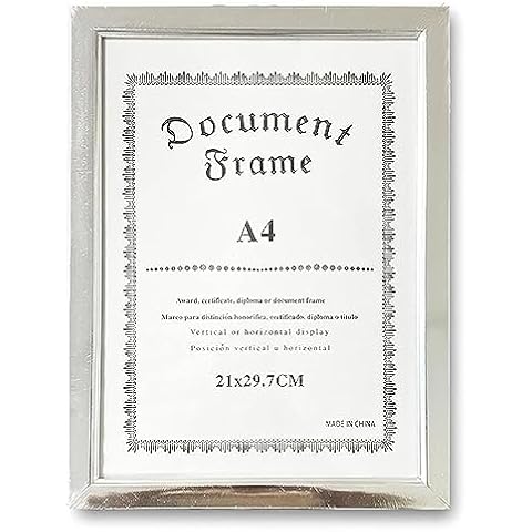 Lizzy® A4 Document Frame in Silver Cover