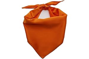 Orange Dog Bandana: Elevate Your Dog's Style