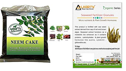 Seaweed Extract Organic Plant Fertilizer for Vegetables, Flowers, Fruits | 200Gm White neem Khali 1 kg-image-25