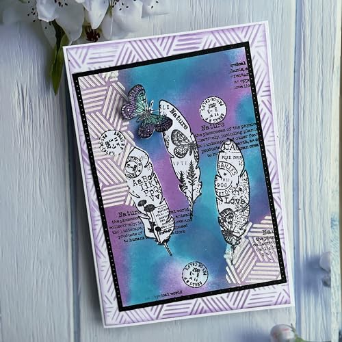 Woodware Clear Singles Paper Feathers 4 in x 6 in Stamp Set, 4 x 6 in - Image 3