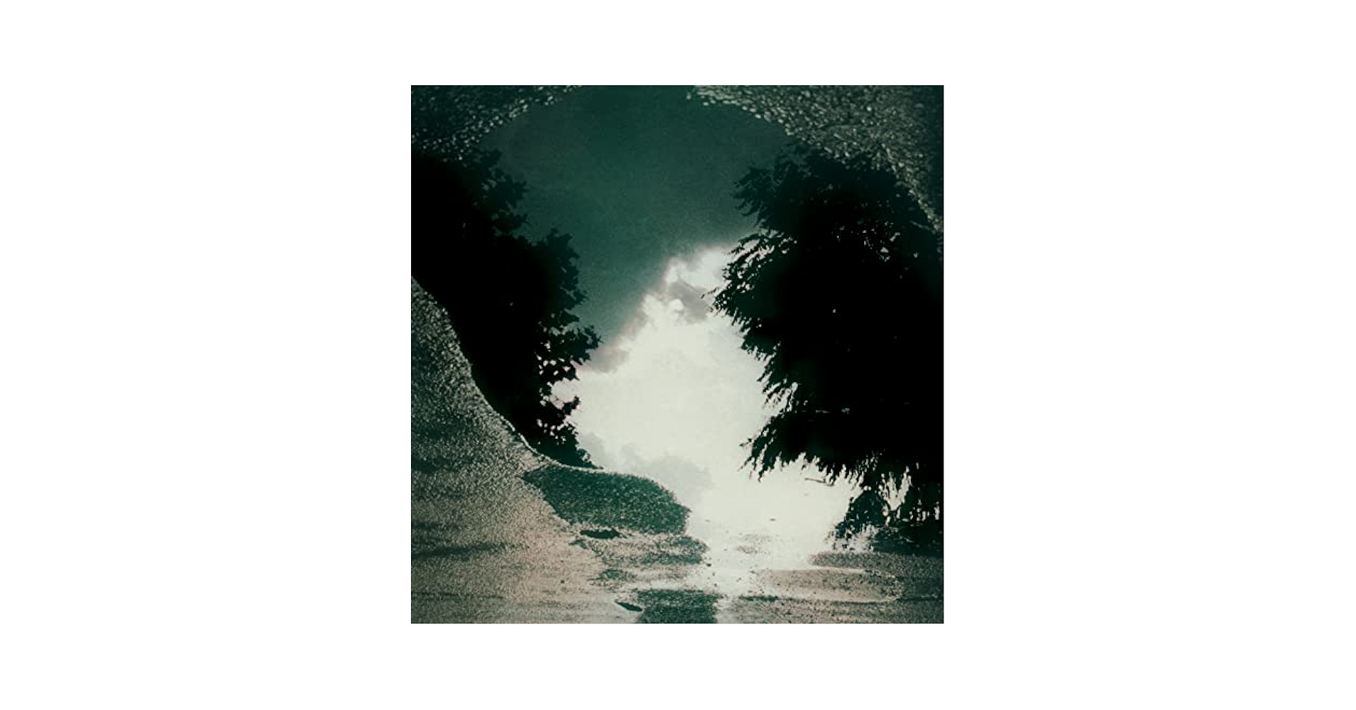Amazon.com: Feeding The Flame: CDs & Vinyl
