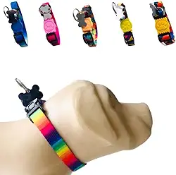 Coleira para Cachorros com Pingente para Identificação M, Tamanho Ajustável, Confortável e Resistente