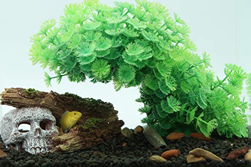 Image of AQUA KT Aquarium Landscape Skeleton Head Skull with Tree Branch for Betta Cichlid Fish Hiding Rock Aquatic Decoration