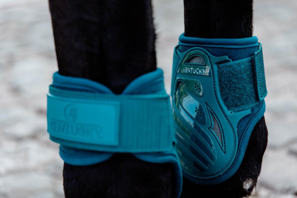 Kentucky Protezione del nodello per Cavalli Giovani