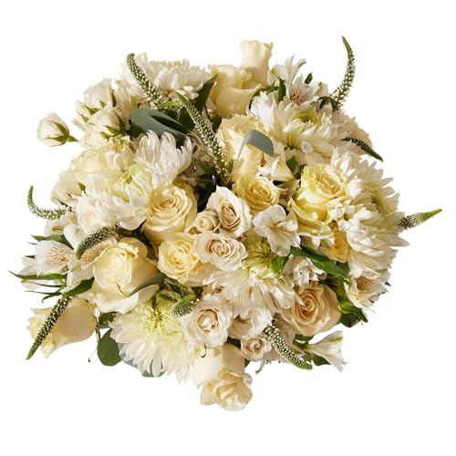 UrbanStems – Double The Dove Bouquet (No Vase) – Fresh Flowers for Delivery – Gift for Birthday, Thank You, Sympathy, Thinking of You, Friendship