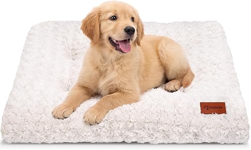 Miniatura 22 de ULIGOTA - Alfombrilla de cama para perro, suave y mullida, para jaula de perro, cama para perros pequeños, medianos y grandes, y gatos, lavable,