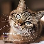 Wet Ones for Pets Cat Cleaning Wipes - Fresh Scent Cat Grooming Wipes with Aloe Vera - Safe Cat Hygiene Supplies - Cat Fur Cleaner - Cat Dander Wipes - Kitten Wipes - Pet Cleaning Supplies - 50 Count - Image 5