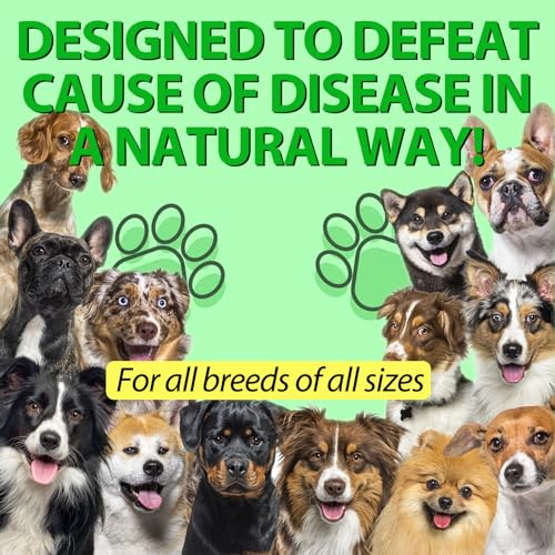 Hunde-Antibiotika, Antibiotika für Hunde, Natürliche Hunde-Antibiotika Tropfen Unterstützt Hundeallergie & Juckreiz Linderung, Hefe-Infektionsbehandlung für Hunde (Speckgeschmack 60ml)
