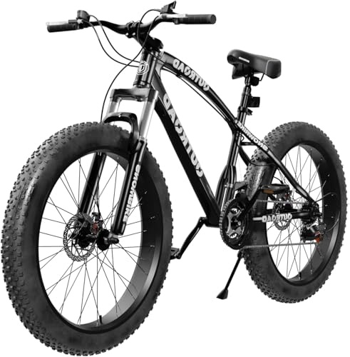 Outroad Fat Tire Mountain Bike