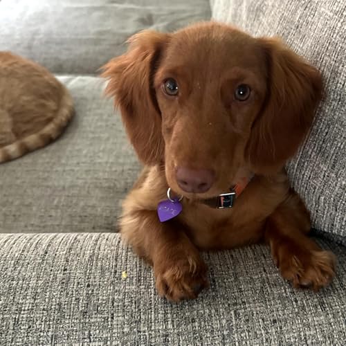 Episode 11: Friendship Sandwiches