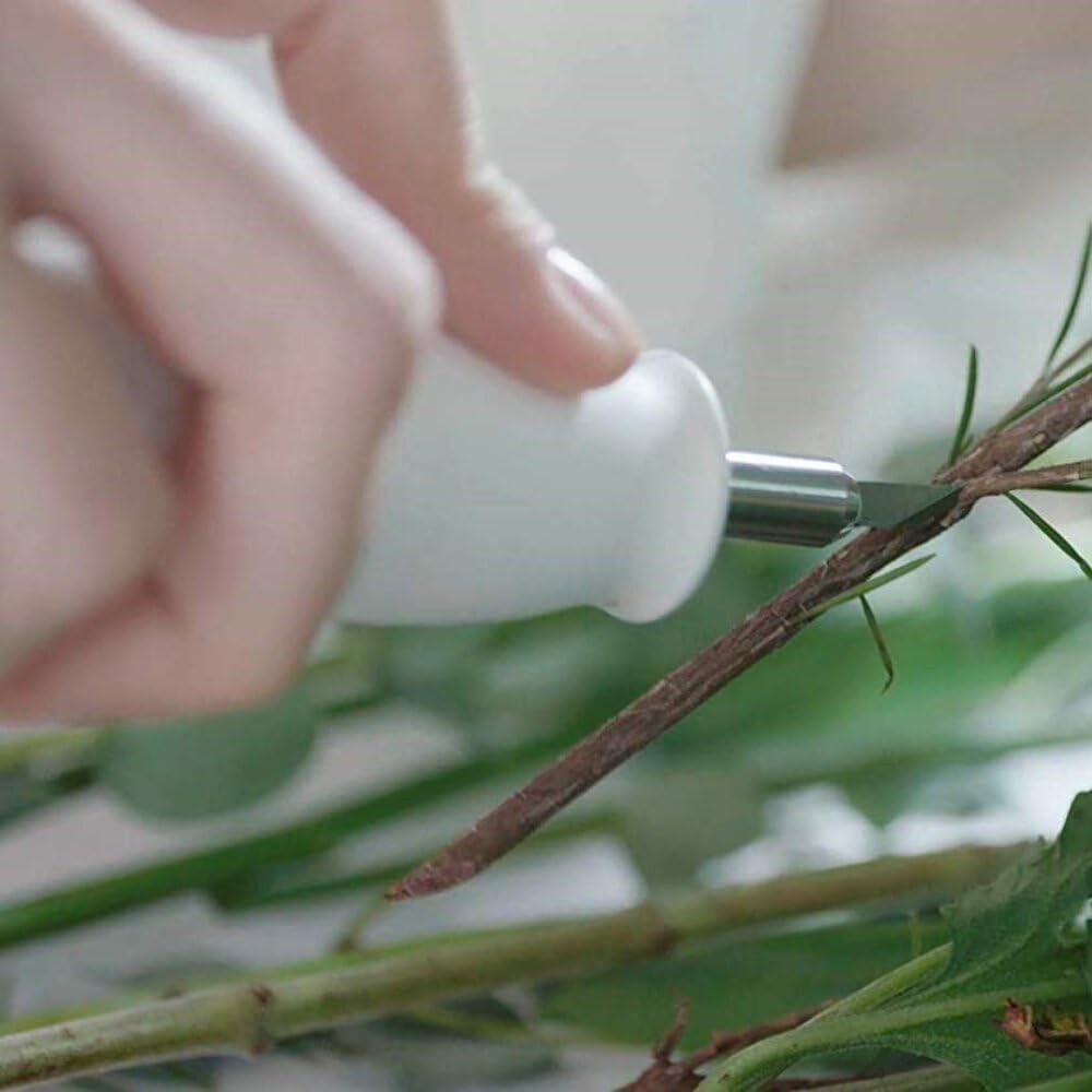 An Ultrasonic Cutter Trimming a Plant Stem