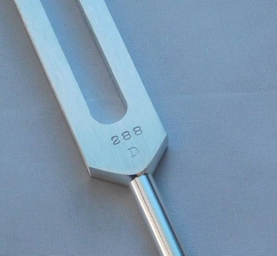 【希少】D288Hz 大型チューニングフォーク　音叉 Amazon.com: D 288 HZ Unweighted Tuning Fork : Musical