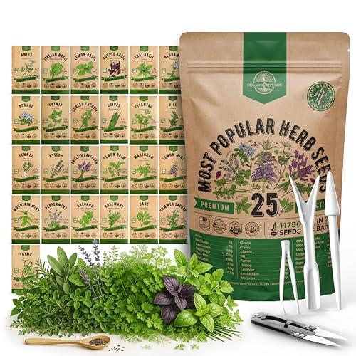 25 Most Popular Herb Seeds Variety Pack - 11,700 Non-GMO Heirloom Seeds for Planting Herbs in Individual Seed Packets for Hydroponic, Indoor & Outdoor Gardening