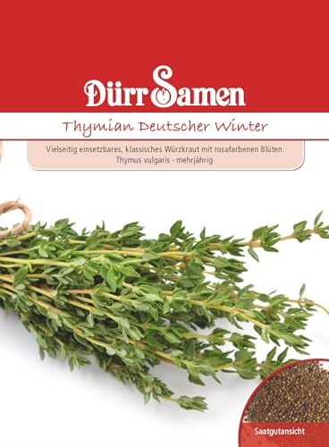Thymian Samen Deutscher Winter Thymiansamen ca 400 Korn Küchenkräuter Kräutersamen Saatgut Balkon Garten Hochbeet Kübel Dürr Samen