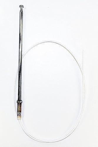 Votex - Antena de alimentación compatible con Jaguar XJS/XJSC / XJ40 / XJ6 / XJ40 / XJ12