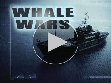 その他 Whale Wars: Season 1 [DVD] Amazon.com: Whale Wars: Season 1 [DVD] : Movies & TV