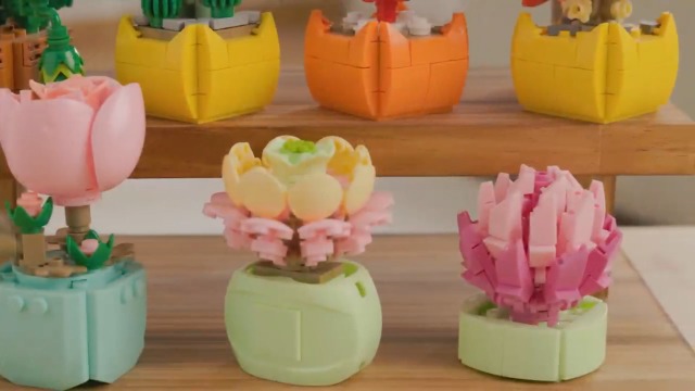 Amazon.com: Sawaruita 10 Pack Succulent Mini Plant Building Blocks