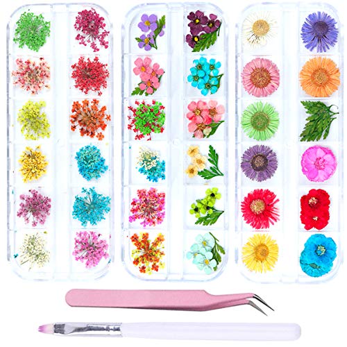 editTime 36 Colors Nail Dried Flowers and Leaf for Manicure, Natural Real Dry Flower Kit with a Curved Tweezers and a Nail Brush (2)