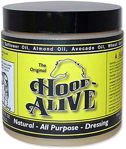(16 Ounce)