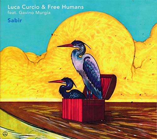 Luca Sabir
