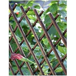 Jardin202 - Celosia de Mimbre Natural | Decorativo| 1 x 2 Metros | Sin Hoja Decorativa