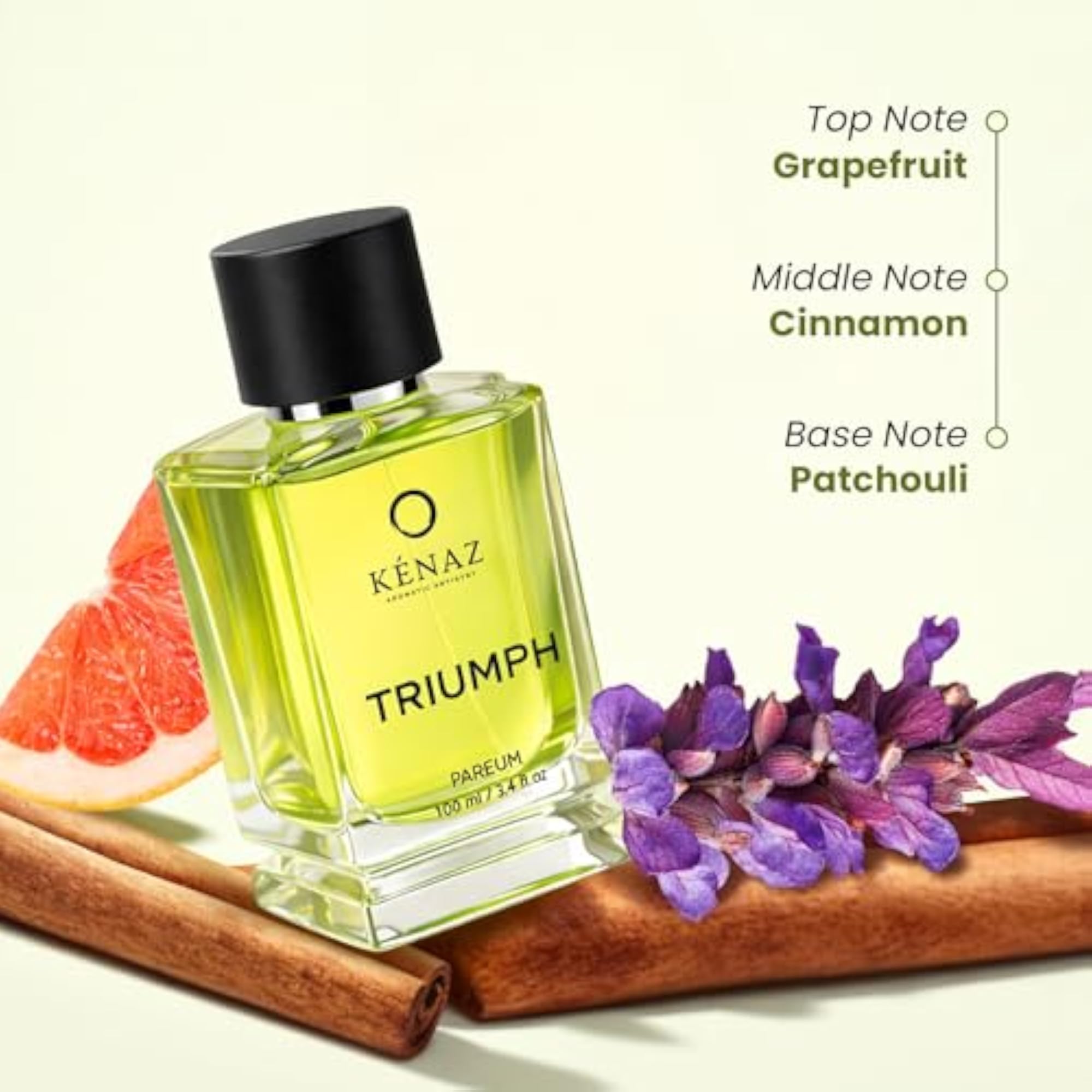 Triumph Men Perfume 100ml, Luxury Fragrance