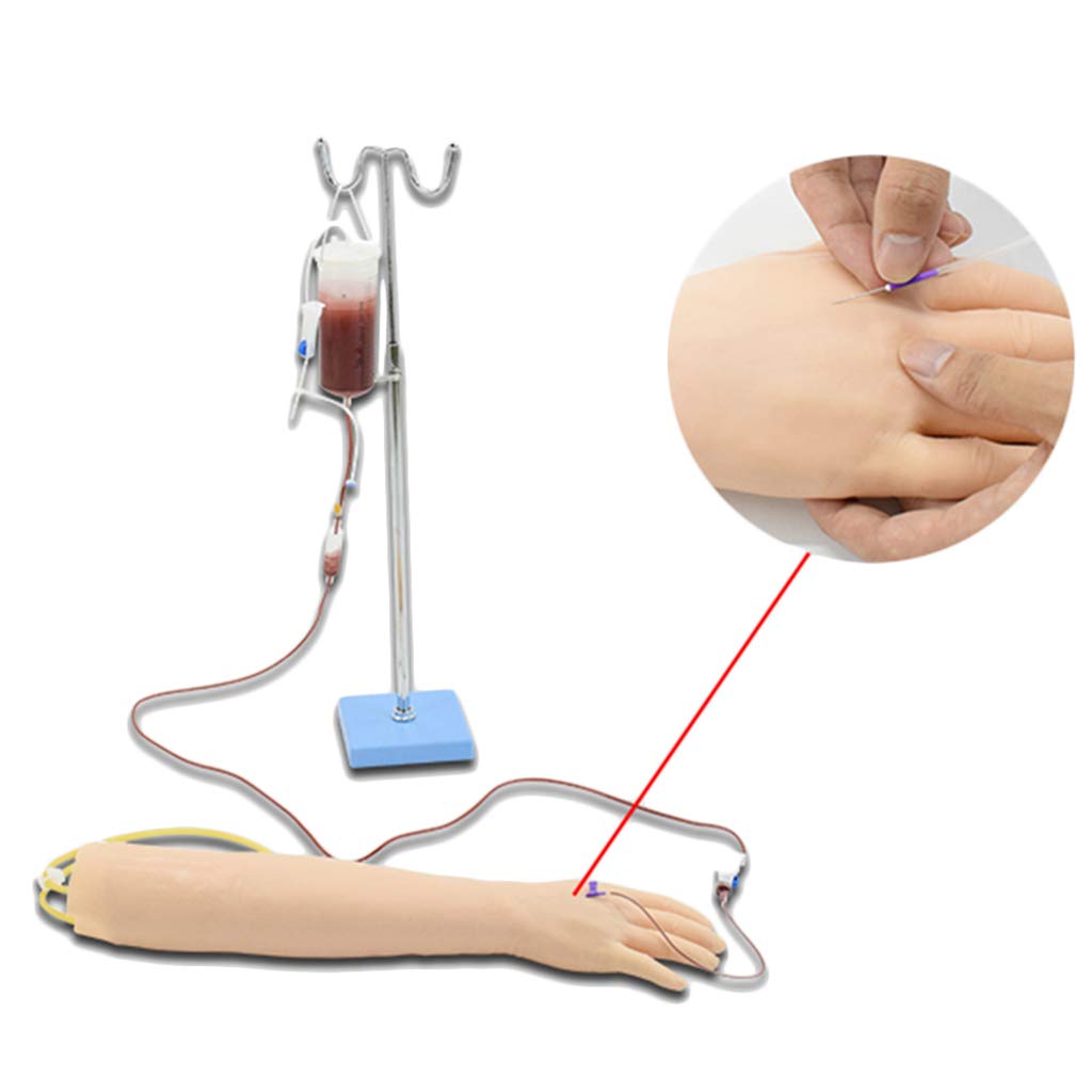 Buy LUCKFY IV Practice Trainer Kit Phlebotomy and Venipuncture