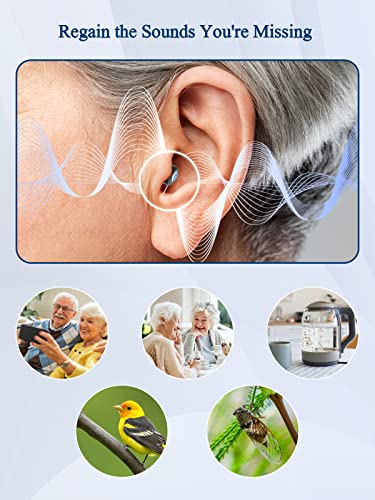 Lentorgi Hearing Aids For Seniors, Virtually Invisible, Self-Fitting, Noise Reduction, Omni-Directional Microphone, Rechargeable, Completely-In-Canal Cic Hearing Aids - Black #TOP4