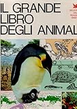 MONDADORI