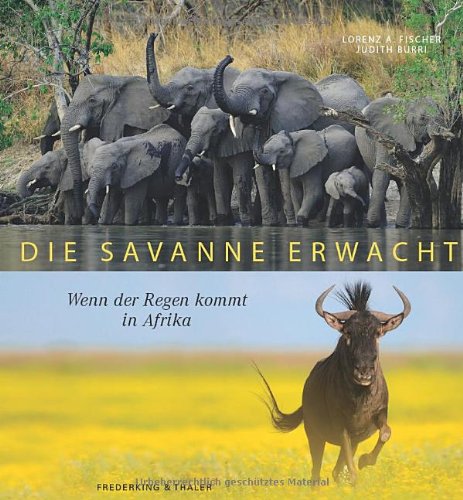 Die Savanne erwacht: Wenn der Regen kommt in Afrika : Fischer, Andreas ...