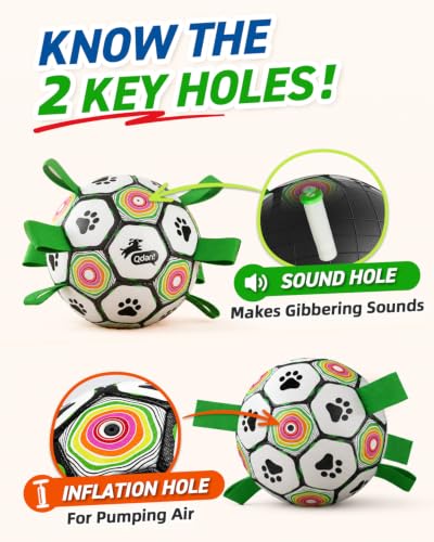 Dog Soccer Ball with Straps - image 9