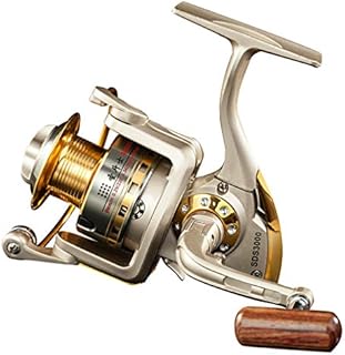 Diwa Spinning Fishing Reels for Saltwater Freshwater 1000 2000 3000 4000 5000 6000 Series Fishing Spool Left/Right Interchangeable Trout Carp Spinning Reel 10 Ball Bearings Light and Smooth (1000)