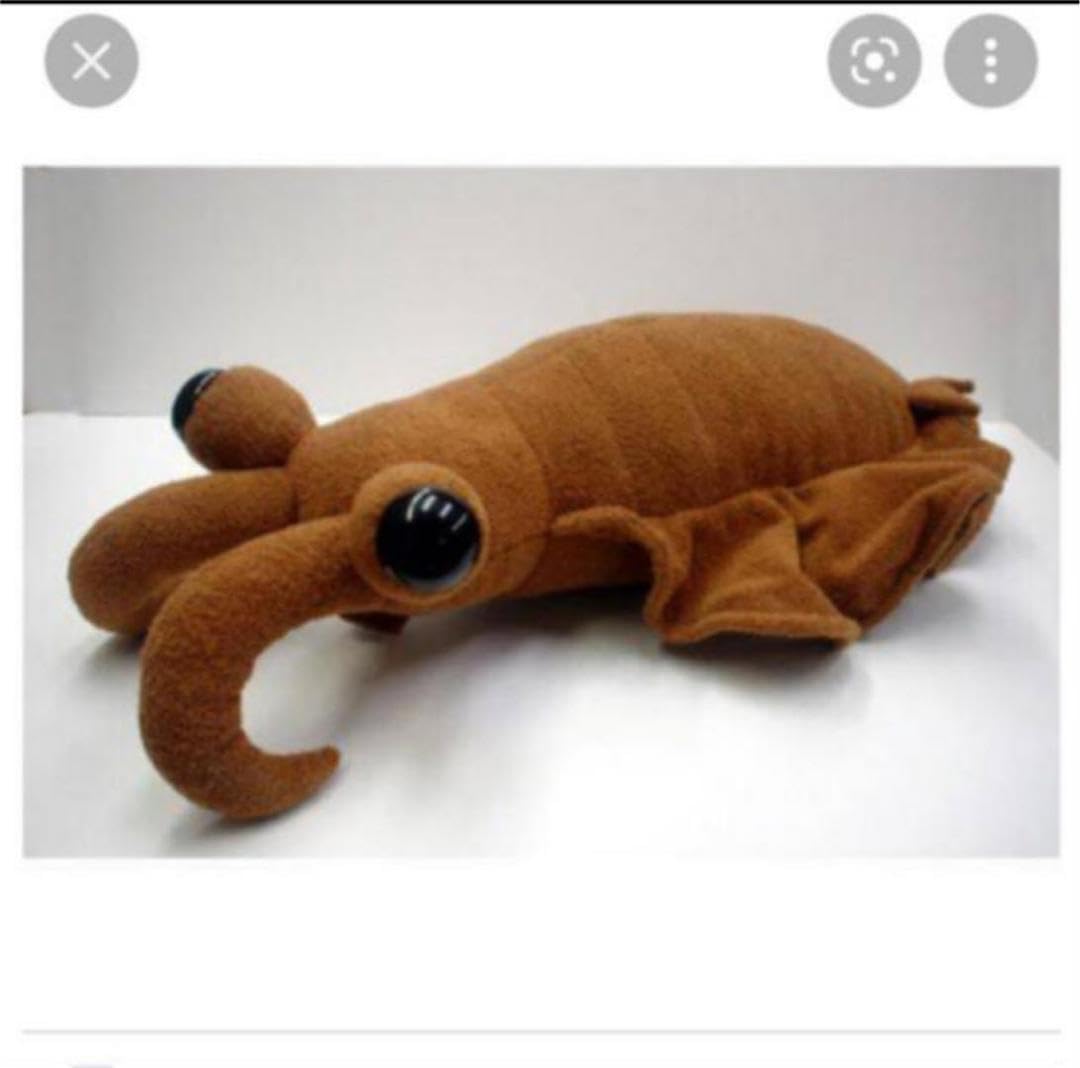 Amazon.co.jp: アノマロカリス ぬいぐるみ 博物館 : おもちゃ