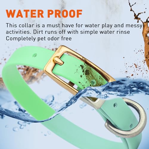 Image of Viper Biothane Heavy Duty Waterproof Dog Collar Strong Coated Nylon Webbing w /Solid Brass Hardware Odor-Proof for Easy Care to Clean High Performance Fits Small Medium or Large Dogs, Sea Foam Green