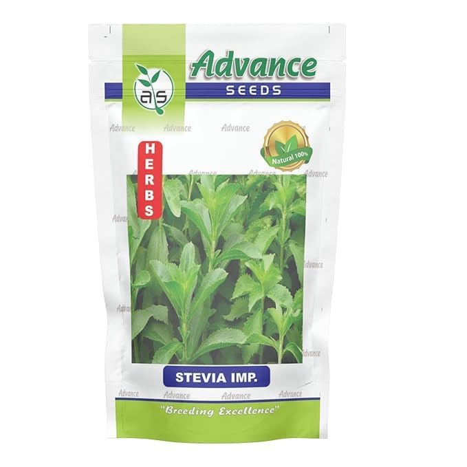 Devender Organic Farm Stevia Seeds, 25+ Seeds Pack, Natural Sugar Substitute Plant, Non-GMO Medicinal Herb for Home Garden-image-10