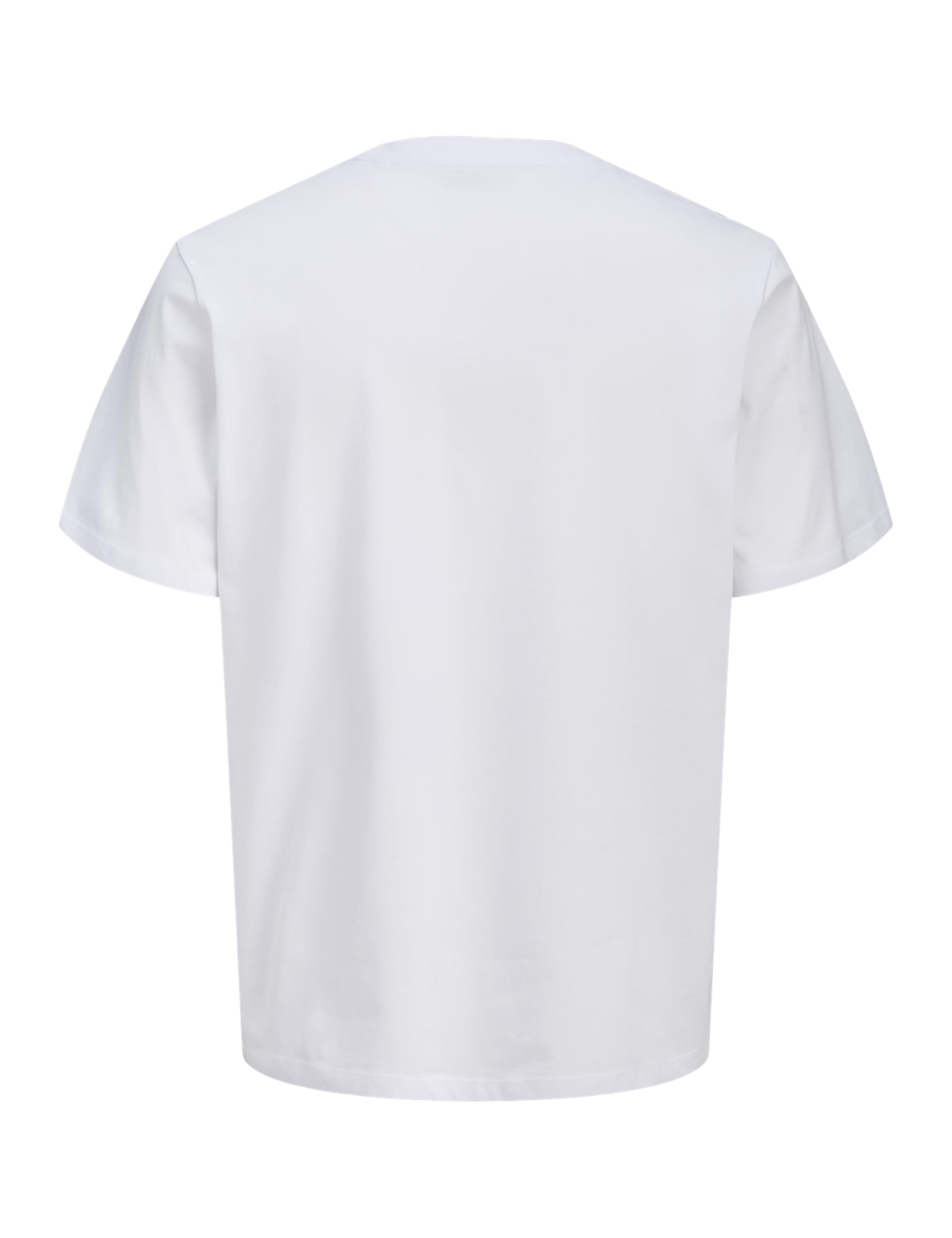 JACK & JONES Jjindiana Tee SS Crew Neck Mężczyźni Jjindiana Tee Ss Crew Neck (1 w zestawie)