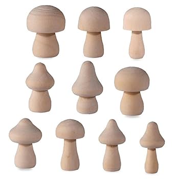 きのこ★ 51LwzMQaQNL._UF350,350_QL80_.jpg