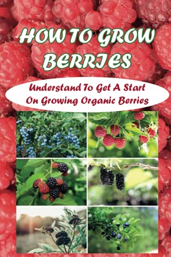 How To Grow Berries: Understand To Get A Start On Growing Organic Berries: Growing Berries In A Pot