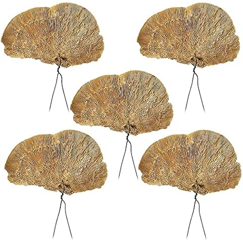 matches21 Deko Baumschwämme am Draht Naturdeko Bastelmaterial Gestecke Herbst Winter Natur 5er Set 10-15 cm Cover