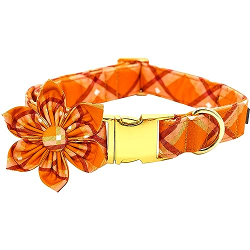 Bobo C{[ hbOJ[At[`FbNybgJ[t[qJ[ttH[hbOJ[ 킢ybgt[߉\p XLp