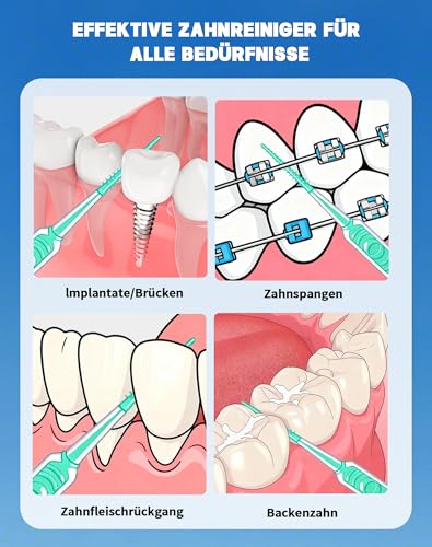 LAOYE 100 Stück SOFT Zahnsticks Minze Dental sticks Mint Interdentalreiniger Interdentalbürsten Silikon Zahnzwischenraumbürste Dentalbürste Dental Picks mit tragbarem Taschenetui
