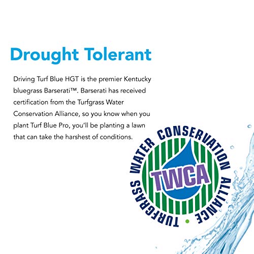 Barenbrug Turf Blue Healthy Grass Technology Grass Seed with Yellow