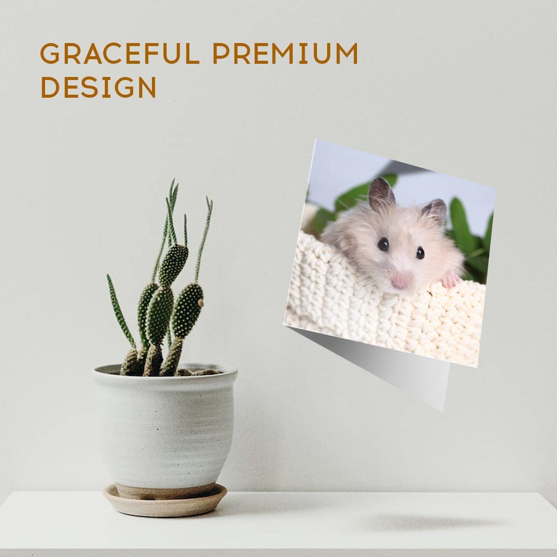 Cobaye Duveteux Animal De Compagnie Noir Et Blanc Photo Stock - Image Du Animal, Drôle: 211659674