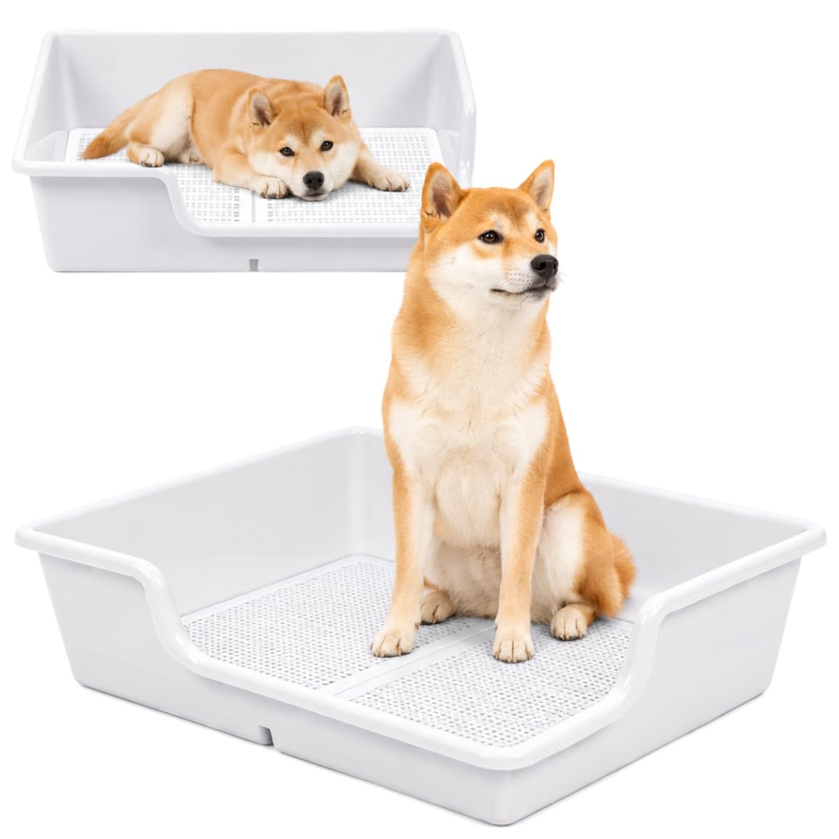 Amazon | DogLife 犬 トイレ トレー 大型犬 特大 スーパー ワイド