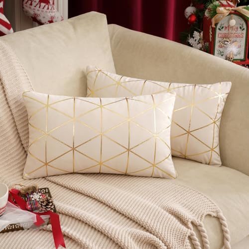 MIULEE Día de Navidad Funda de Cojines Terciopelo Cojines Sofá Cuadrado Estampado Dorado Funda de Almohada para Silla Oficina Cama Decoración Moderna de Habitación 2 Piezas 30x50 cm Crema