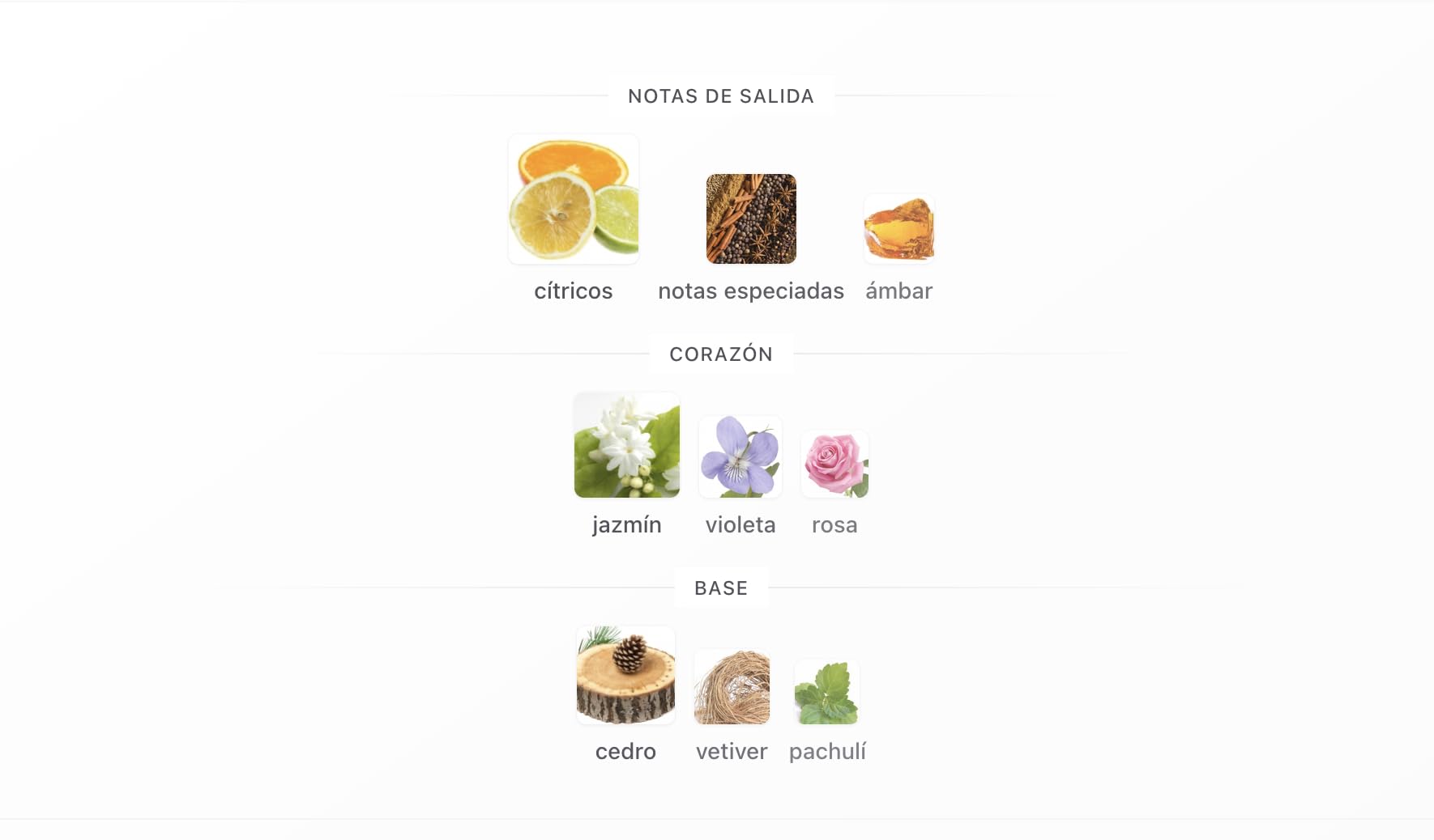 Rasasi Hawas Highness Eau De Parfum 100ml, Perfume Árabe para Hombre | De Larga Duración, Incluye Atomizador Recargable, Fragancia Oriental con Notas de Ámbar, Jazmín y Cedro