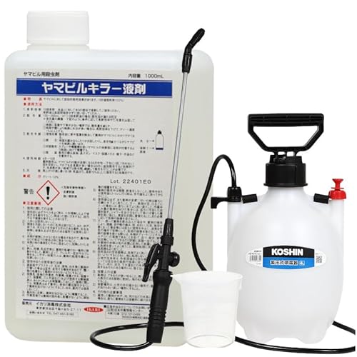 }rL[t 1L{4L^CvZbg }r쏜